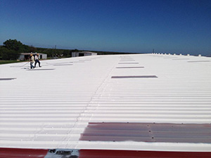 Roof Coating Fairlawn OH