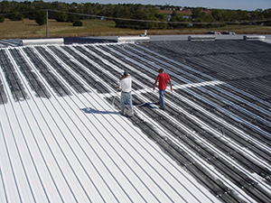 Roof Coating1