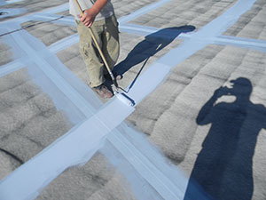 Roof Coating