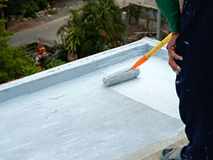 Roof Coating1