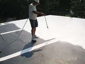 Roof Coating2